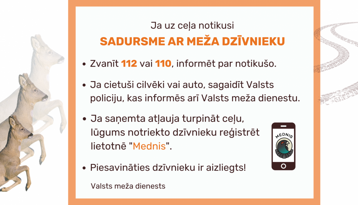 Sadursme ar meža dzīvnieku